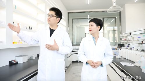 帝思奇是什么