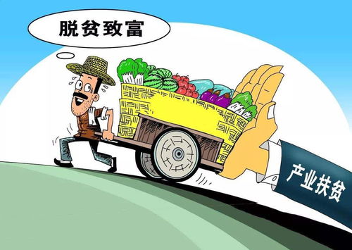 麻栗坡 小产业 串起边疆 幸福结