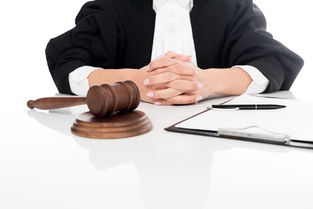 深圳刑事诉讼律师咨询平台