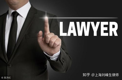 刘峰生律师 职业放贷人 规避法律赚取 套路钱