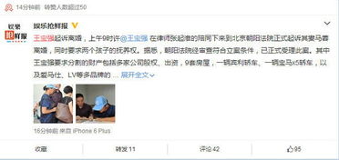 王宝强与马蓉 未竟的财产保险诉讼及其法律了结